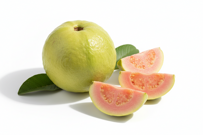 GUAVA PLANT